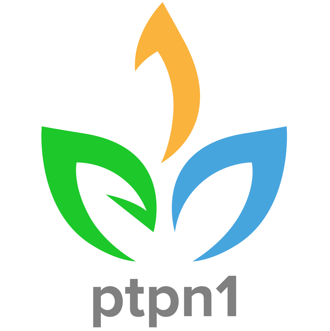Logo PTPN1